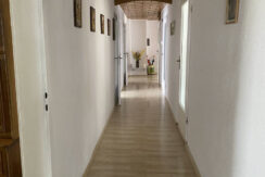 Bild7