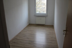 Bild4