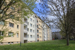 Bild1