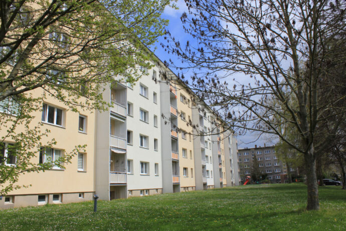 Bild1