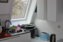 Bild13