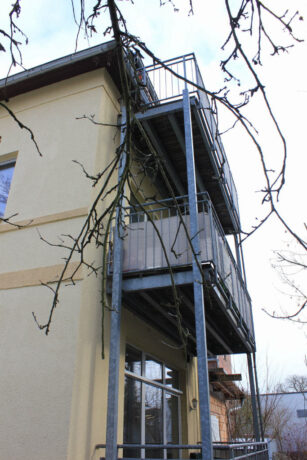 Bild1