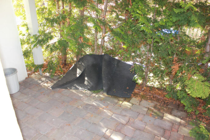Bild6