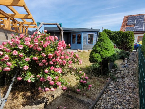 Gartenbereich mit Holzhaus