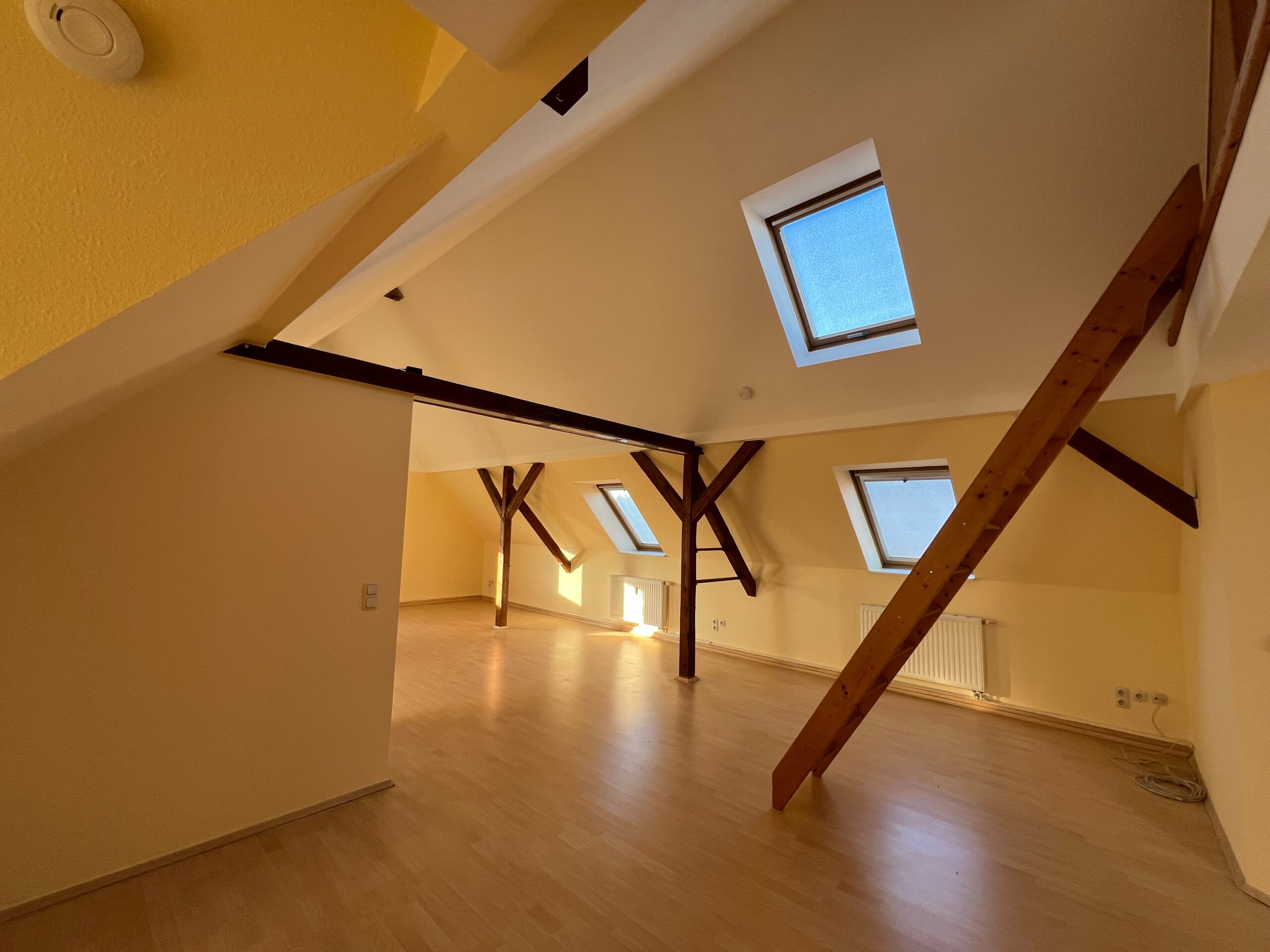 Stylisches Wohnen mit Weitblick: 3-Raum-Dachgeschosswohnung mit Balkon, in Riesa-Poppitz!