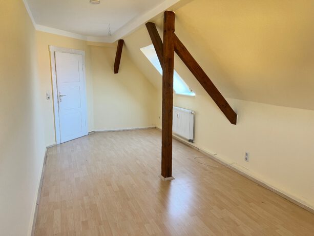Zimmer1