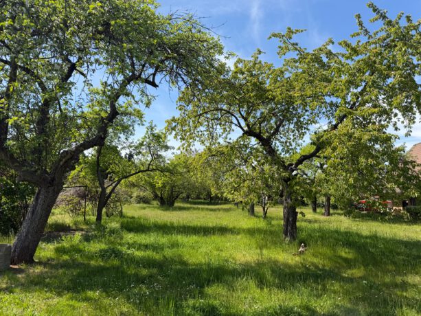 Garten