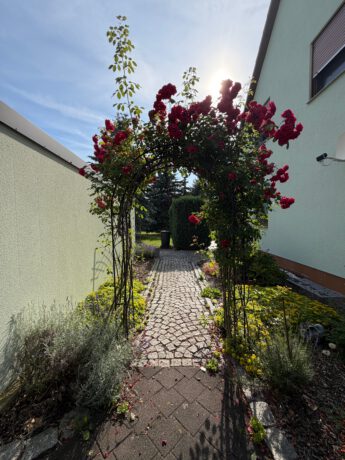 Außenansicht zw. Haus & Garage