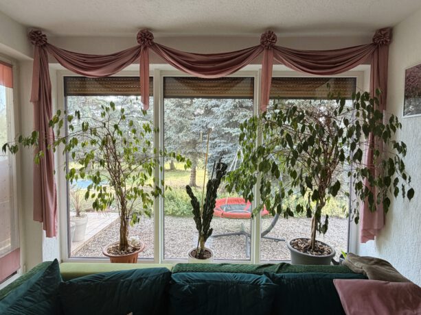 Blick vom Wohnzimmer