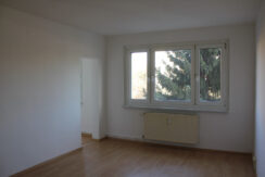 Bild5