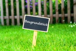 004000660800_900010092_istockphoto-1090112978-612x612