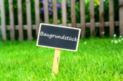 004000660800_900010092_istockphoto-1090112978-612x612