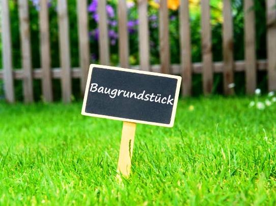 004000660800_900010092_istockphoto-1090112978-612x612