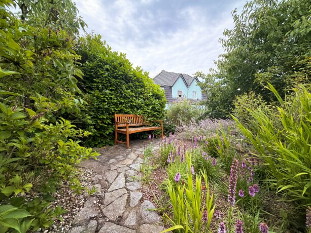 Blick in den Garten